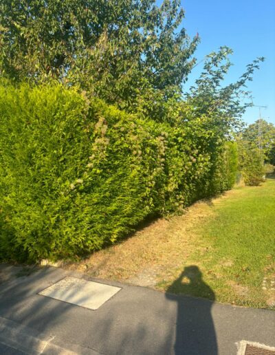 apt élagueur terrassier