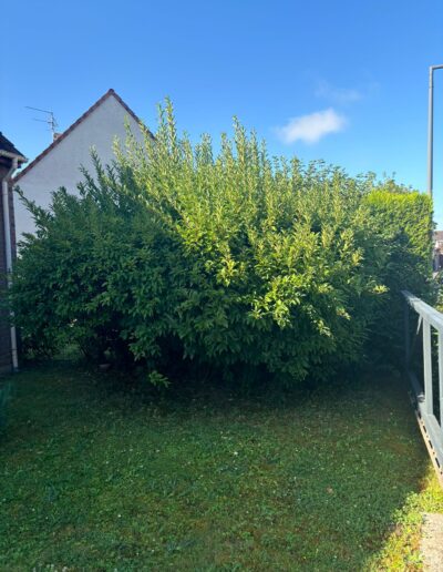 apt élagueur terrassier