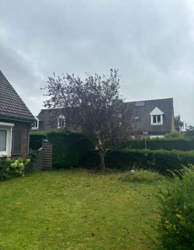 apt élagueur terrassier