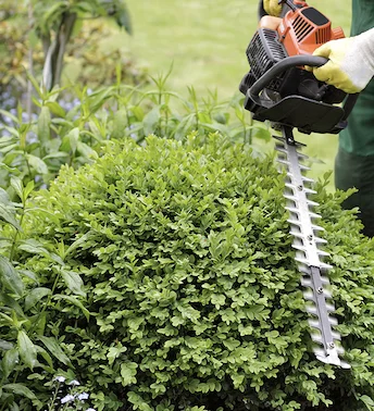 élagage Varennes-Vauzelles