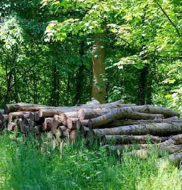 paysagiste Cosne-Cours-sur-Loire