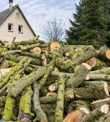 élagueur La Charité-sur-Loire