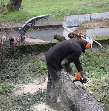 élagueur Varennes-Vauzelles